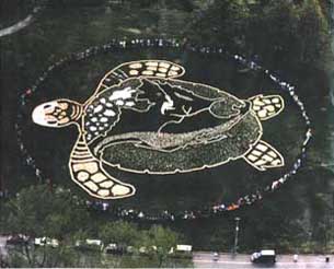 Aerial photo of Turtle Island Sculpture